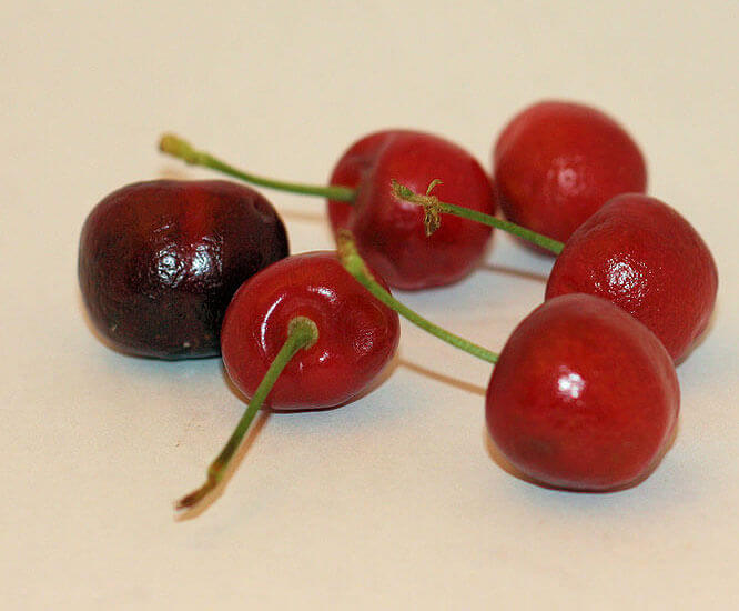 Cherry