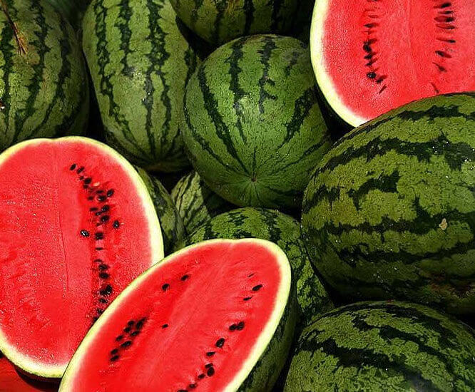 Watermelon