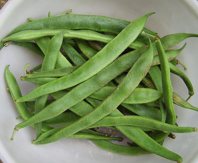 Beans