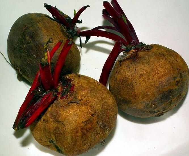 Beetroot