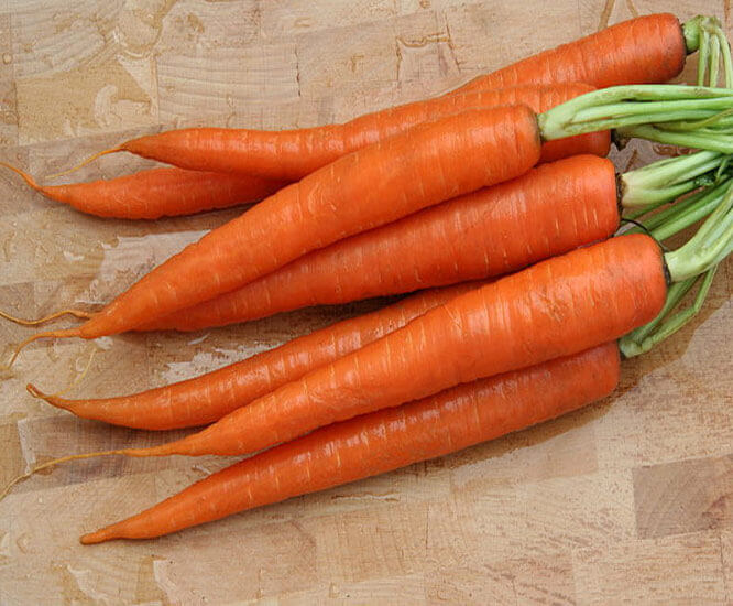Carrot