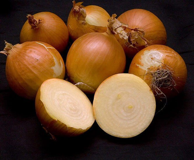 Onion