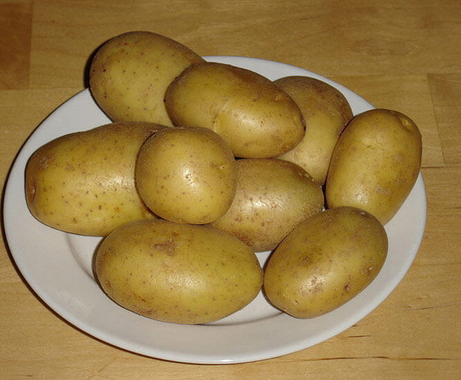 Potato