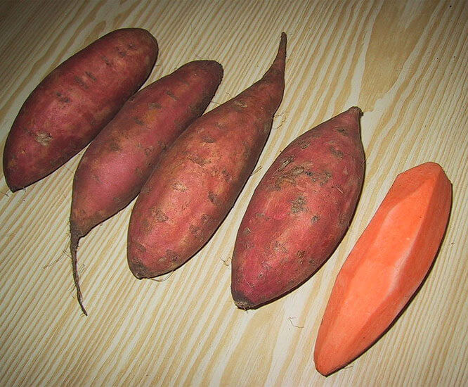 Sweet Potato
